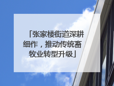 张家楼街道深耕细作，推动传统畜牧业转型升级