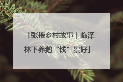 张掖乡村故事｜临泽林下养鹅“钱”景好