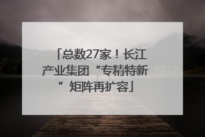 总数27家！长江产业集团“专精特新”矩阵再扩容