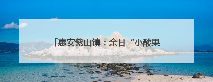 惠安紫山镇：余甘“小酸果”酿出乡村振兴“大甜头”