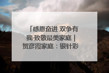 感恩奋进 双争有我·致敬最美家庭｜贺彦霞家庭：银针彩线绣出好日子