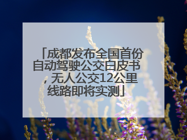 成都发布全国首份自动驾驶公交白皮书，无人公交12公里线路即将实测