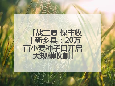 战三夏 保丰收丨新乡县：20万亩小麦种子田开启大规模收割