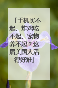 手机买不起、炸鸡吃不起、宠物养不起？这届美国人活得好难