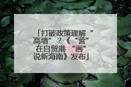 打破政策理解“高墙”？《“营”在自贸港 “画”说新海南》发布