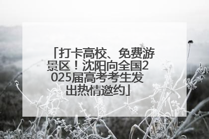 打卡高校、免费游景区！沈阳向全国2025届高考考生发出热情邀约