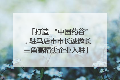 打造 “中国药谷”，驻马店市市长诚邀长三角高精尖企业入驻