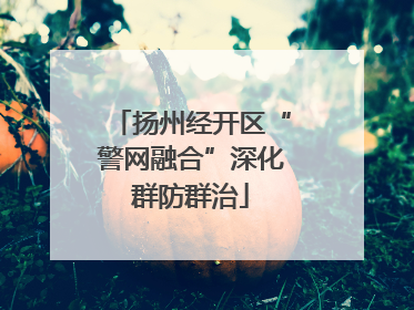 扬州经开区“警网融合”深化群防群治