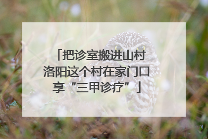 把诊室搬进山村 洛阳这个村在家门口享“三甲诊疗”