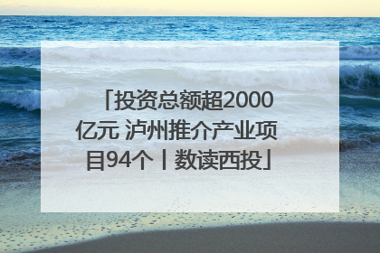 投资总额超2000亿元 泸州推介产业项目94个丨数读西投