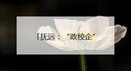 抚远：“政校企”共育电商人才 打通东极特色产销链