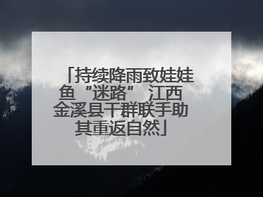 持续降雨致娃娃鱼“迷路” 江西金溪县干群联手助其重返自然