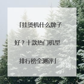 挂烫机什么牌子好？十款热门机型排行榜全测评