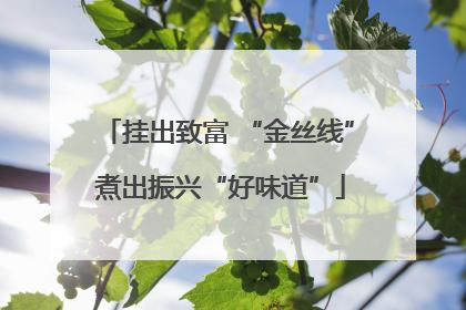 挂出致富 “金丝线” 煮出振兴“好味道”