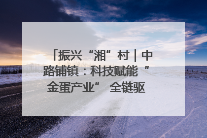 振兴“湘”村｜中路铺镇：科技赋能“金蛋产业” 全链驱动乡村振兴