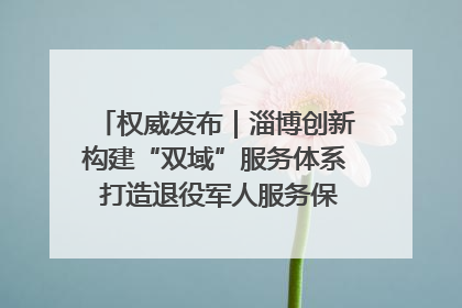权威发布｜淄博创新构建“双域”服务体系 打造退役军人服务保障“淄博样板”