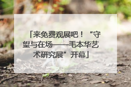 来免费观展吧！“守望与在场——毛本华艺术研究展”开幕
