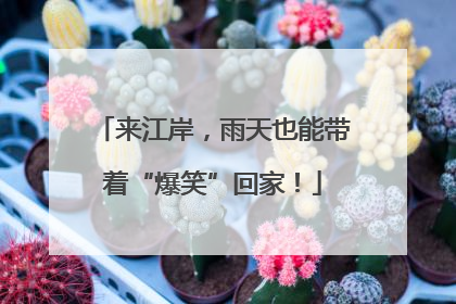 来江岸，雨天也能带着“爆笑”回家！