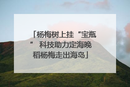 杨梅树上挂“宝瓶” 科技助力定海晚稻杨梅走出海岛
