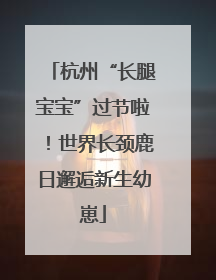 杭州“长腿宝宝”过节啦！世界长颈鹿日邂逅新生幼崽