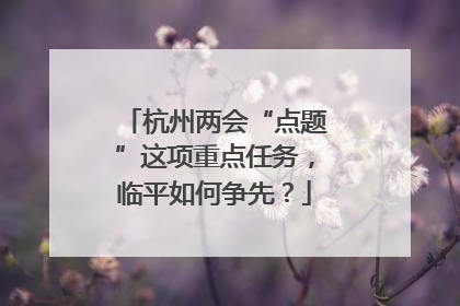 杭州两会“点题”这项重点任务，临平如何争先？