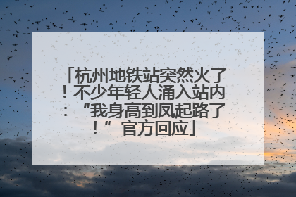 杭州地铁站突然火了！不少年轻人涌入站内：“我身高到凤起路了！”官方回应
