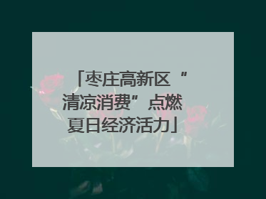 枣庄高新区“清凉消费”点燃夏日经济活力