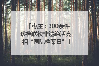 枣庄：300余件珍档联袂非遗绝活亮相“国际档案日”