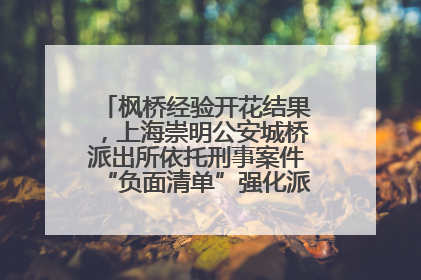 枫桥经验开花结果，上海崇明公安城桥派出所依托刑事案件“负面清单”强化派出所“主防”