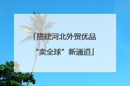 搭建河北外贸优品“卖全球”新通道