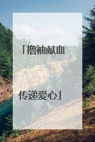 撸袖献血 传递爱心