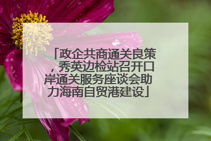 政企共商通关良策，秀英边检站召开口岸通关服务座谈会助力海南自贸港建设