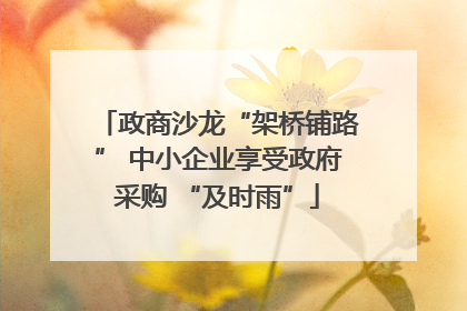 政商沙龙“架桥铺路” 中小企业享受政府采购 “及时雨”