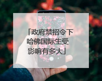 政府禁招令下 哈佛国际生受影响有多大