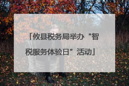 攸县税务局举办“智税服务体验日”活动