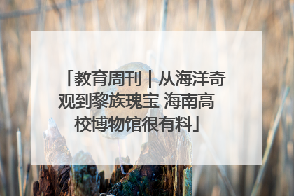 教育周刊｜从海洋奇观到黎族瑰宝 海南高校博物馆很有料