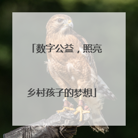 数字公益，照亮乡村孩子的梦想