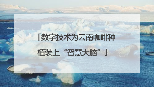 数字技术为云南咖啡种植装上“智慧大脑”