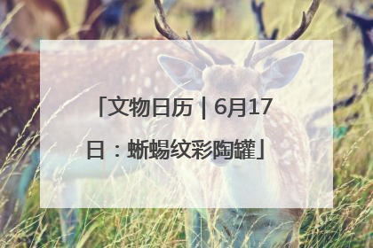 文物日历｜6月17日：蜥蜴纹彩陶罐