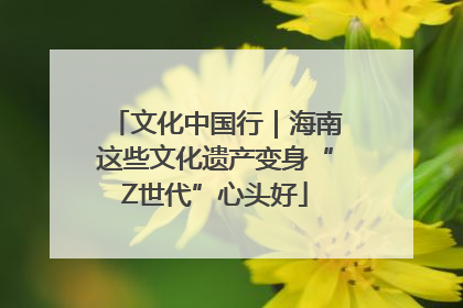 文化中国行｜海南这些文化遗产变身“Z世代”心头好