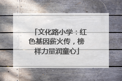 文化路小学：红色基因薪火传，榜样力量润童心