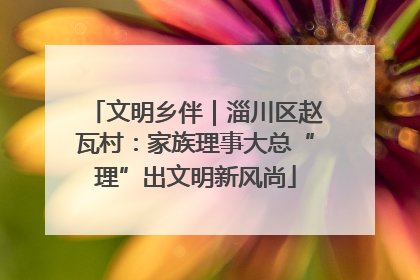 文明乡伴｜淄川区赵瓦村：家族理事大总“理”出文明新风尚