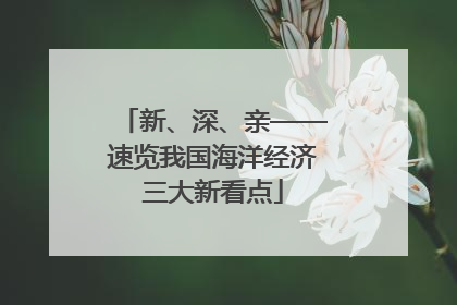 新、深、亲——速览我国海洋经济三大新看点