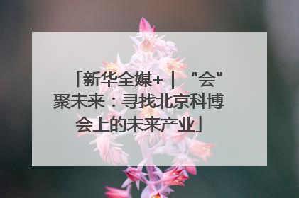 新华全媒+｜“会”聚未来：寻找北京科博会上的未来产业