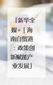 新华全媒+｜海南自贸港：政策创新赋能产业发展