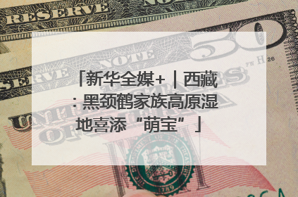新华全媒+｜西藏：黑颈鹤家族高原湿地喜添“萌宝”