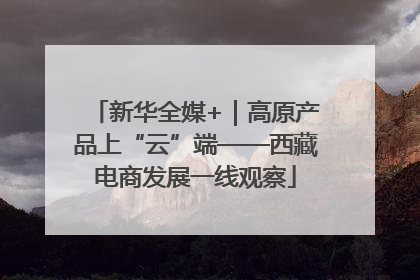 新华全媒+｜高原产品上“云”端——西藏电商发展一线观察