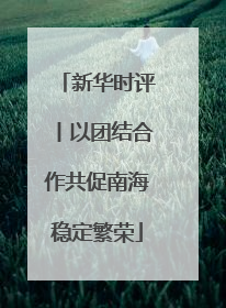 新华时评丨以团结合作共促南海稳定繁荣