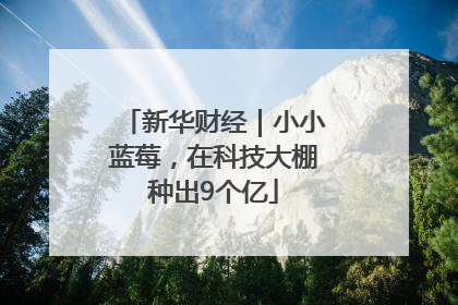 新华财经｜小小蓝莓，在科技大棚种出9个亿