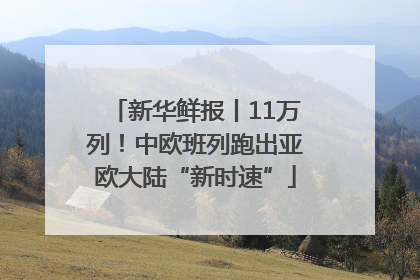 新华鲜报丨11万列！中欧班列跑出亚欧大陆“新时速”